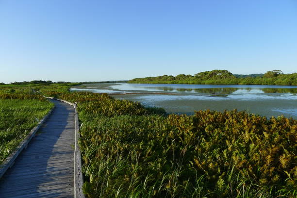 istock Sarebetsu plain and Panke swamp (Rishiri Rebun Sarobetsu National Park, Japan) 1267115927