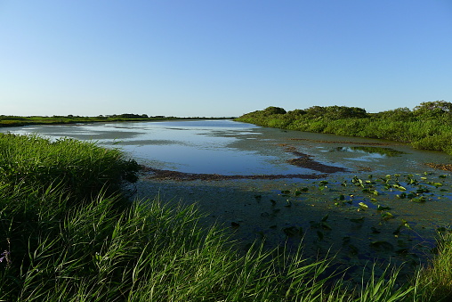 Sarobetsu Plain (wetland) and Panke swamp is located in Rishiri Rebun Sarobetsu National Park of Hokkaido.