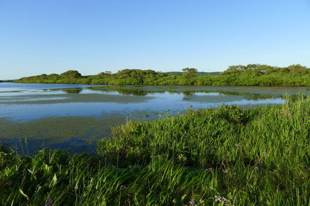 istock Sarebetsu plain and Panke swamp (Rishiri Rebun Sarobetsu National Park, Japan) 1267115931