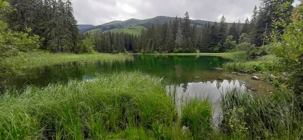 istock Vrbicke pleso lake 1267116604