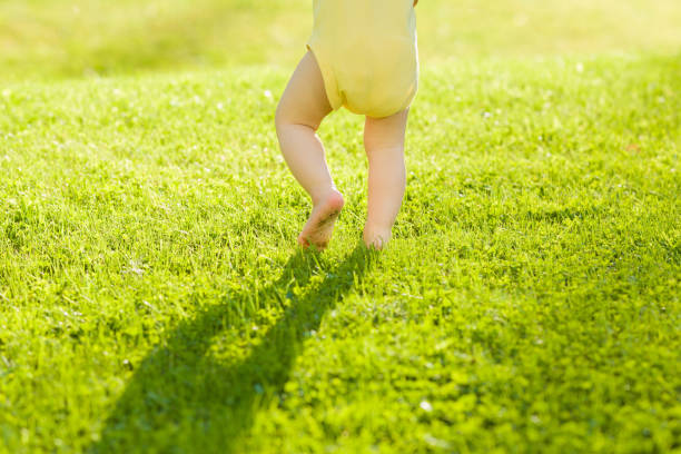 晴れた夏の夜に新鮮な緑の草の上を裸足で歩く赤ちゃん。バックビュー。クローズ アップ。 - baby child babies only baby girls ストックフォトと画像