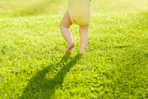 Baby walking barefoot on fresh, green grass in sunny summer evening. Back view. Closeup.