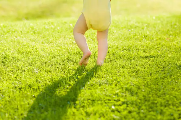 Photo of Baby walking barefoot on fresh, green grass in sunny summer evening. Back view. Closeup.