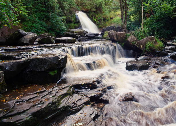 istock Glenbarrow Waterfall, Laois, Ireland 1267124890