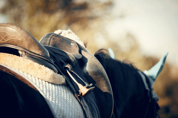 istock Saddle with stirrups on a back of a horse. 1267127211