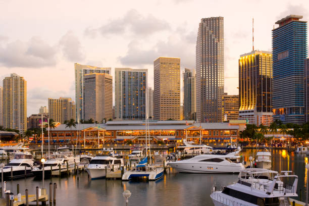 istock Cityscape of Miami 1267129866