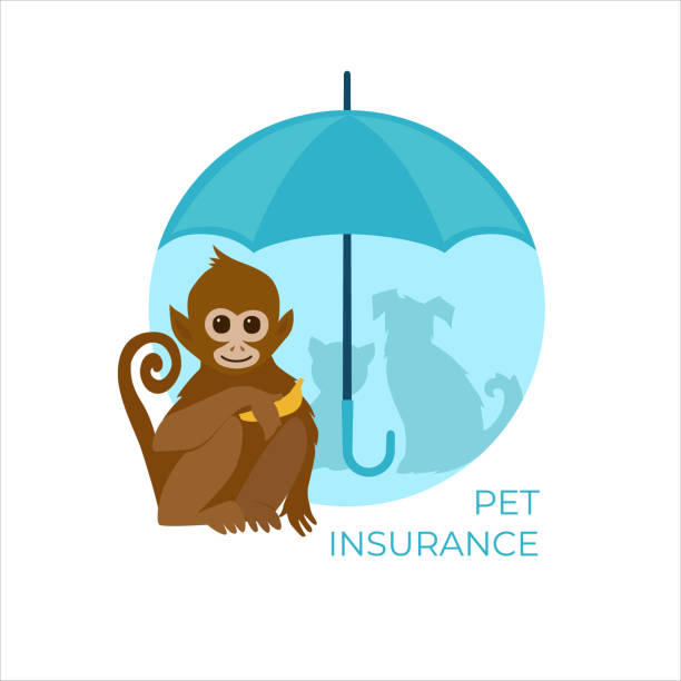 концепция страхования домашних животных. векторная иллюстрация. - cartoon umbrella dog care stock illustrations