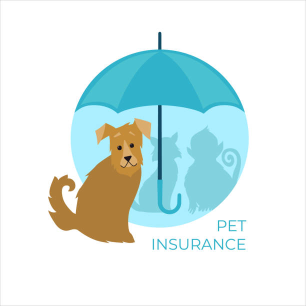 собака с зонтиком. концепция страхования домашних животных. векторная иллюстрация. - cartoon umbrella dog care stock illustrations