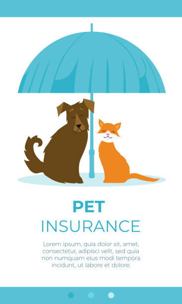 illustrations, cliparts, dessins animés et icônes de concept d’assurance pour animaux de compagnie. illustration vectorielle. - cartoon umbrella dog care