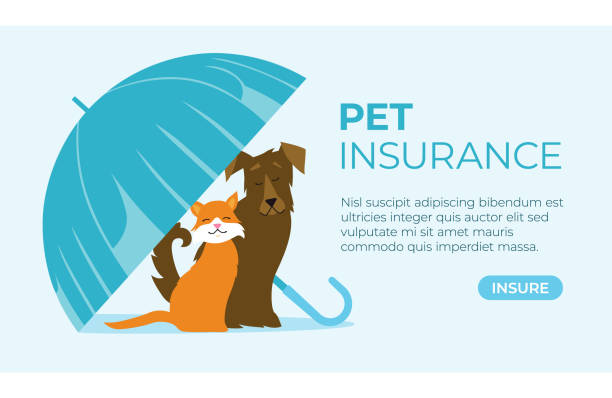 ilustrações, clipart, desenhos animados e ícones de conceito de seguro para animais de estimação. ilustração vetorial. - dog insurance