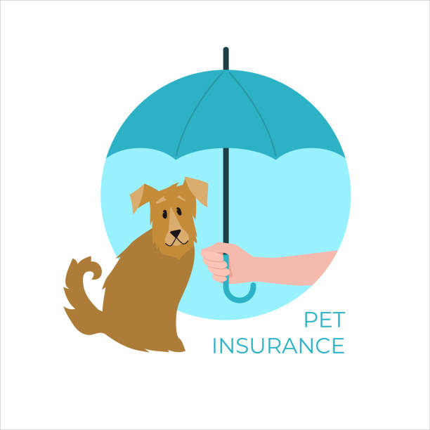 illustrations, cliparts, dessins animés et icônes de concept d’assurance pour animaux de compagnie. chien sous un parapluie. illustration vectorielle. - cartoon umbrella dog care