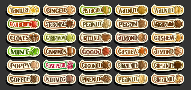 illustrations, cliparts, dessins animés et icônes de ensemble vectoriel d’épices et de noix - nut spice peanut almond