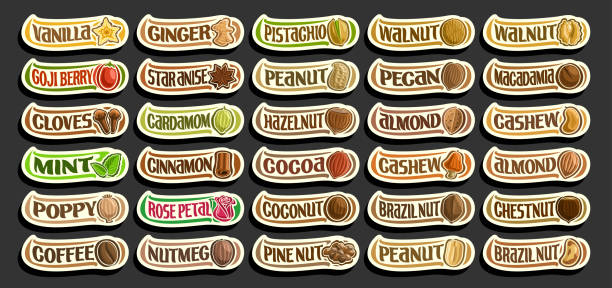 Vector set of Spices and Nuts Vector set of Spices and Nuts, group of cut out cartoon raw spices and fresh nuts, various minimal design food signs for healthy nutrition, lot collection of isolated simple badges with variety words. pecan icon stock illustrations