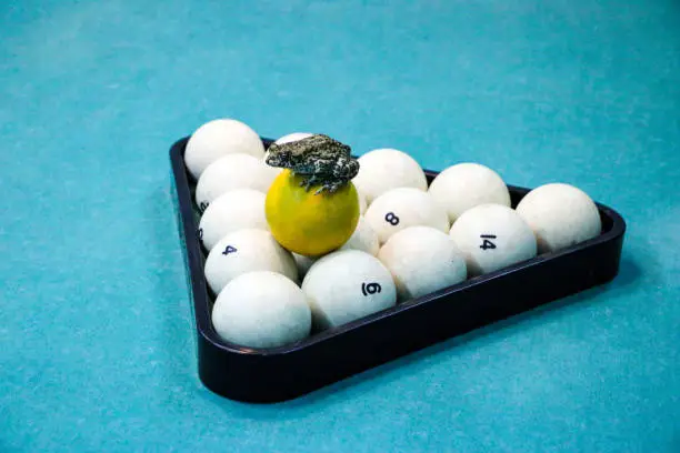 Photo of spotted green frog on  pool table with old dirty billiard balls and shabby dusty green cloth. the concept of foul play, toad of greed and meanness in the game of billiards.