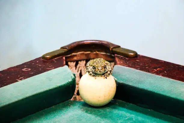 Photo of spotted green frog on  pool table with old dirty billiard balls and shabby dusty green cloth. the concept of foul play, toad of greed and meanness in the game of billiards.