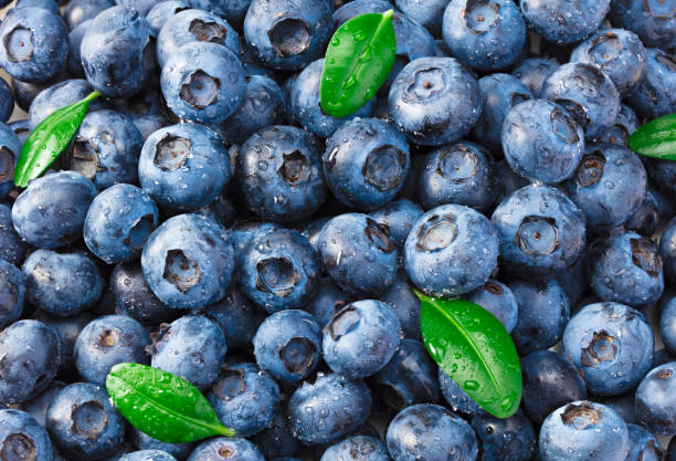 istock healthy background. blueberry texture. blueberries background. fruit background. 1267140138