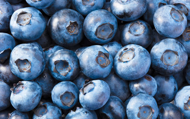 istock healthy background. blueberry texture. blueberries background. fruit background. 1267140405
