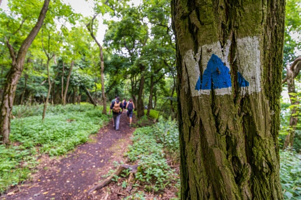 istock Hiking trail sign on Hill Badacsony, Hungary 1267141086