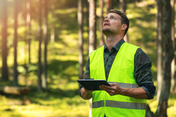 valutazione e gestione forestale - ingegnere forestale che lavora con tablet digitale nei boschi - forest industry foto e immagini stock