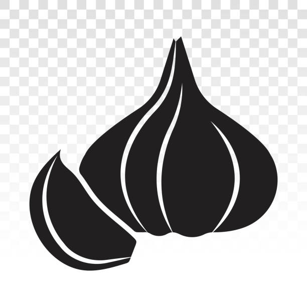 garlic clove flat icons for apps and websites garlic cloves flat icons for apps and websites garlic bulb stock illustrations