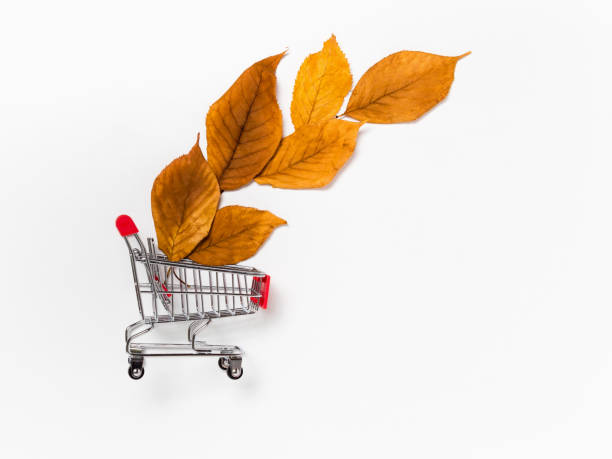 istock Autumn sale concept: red shopping cart with yellow fall leaves on white background 1267141855