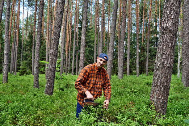 istock Picking blueberries with a special comb in the forest 1267143553