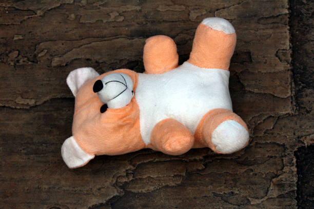 istock cute color full teddy bear 1267145667