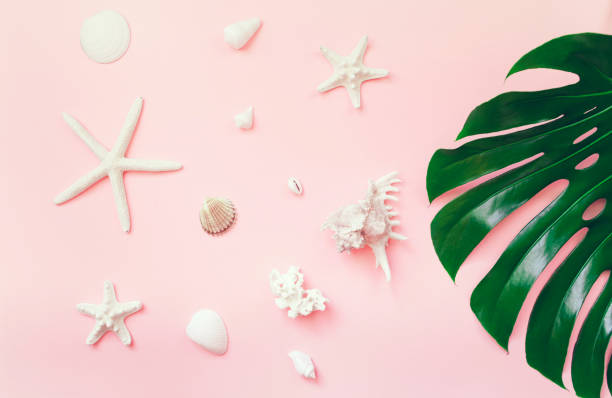 istock Summer composition with monstera leaf, starfishes and shells on pastel background. 1267148199