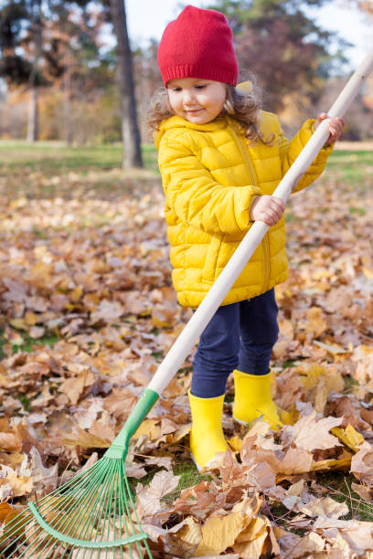 une petite fille mignonne de 3-4 ans dans des râteaux jaunes de veste dans la pile des feuilles d’érable d’automne dans la cour arrière sur une journée ensoleillée d’automne. aidez à nettoyer les feuilles tombées. - child caucasian little girls 3 4 years photos et images de collection