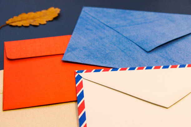 istock Envelopes and dry flowers and plants, empty space for text and letter, romance background 1267149761