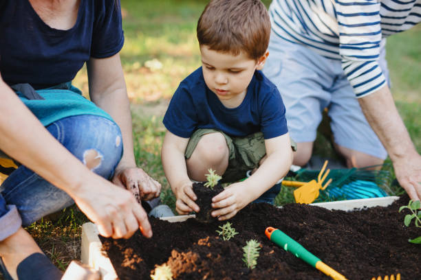 istock Grandparents teaching grandson to grow vegetables and herbs at home 1267150607