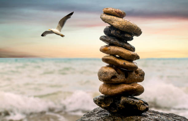 Concept for patience, consistency, balance, wisdom