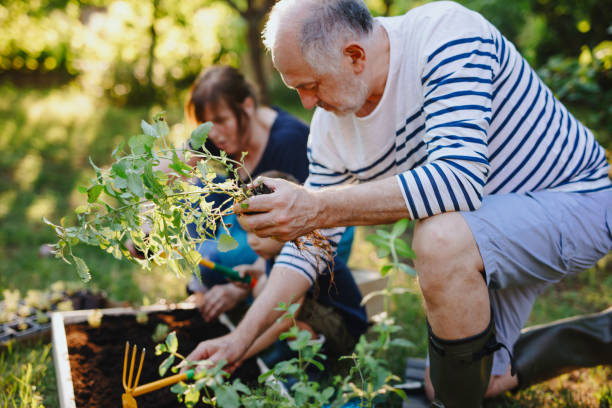 istock Young boy exploring in the soil and helping to plant some herbs 1267150799