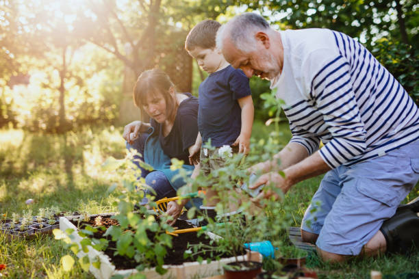 istock Young boy exploring in the soil and helping to plant some herbs 1267150828
