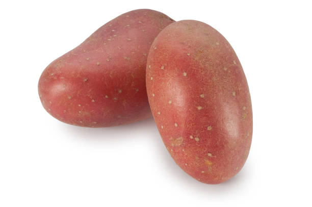 pommes de terre rouges - red potato isolated raw potato raw photos et images de collection