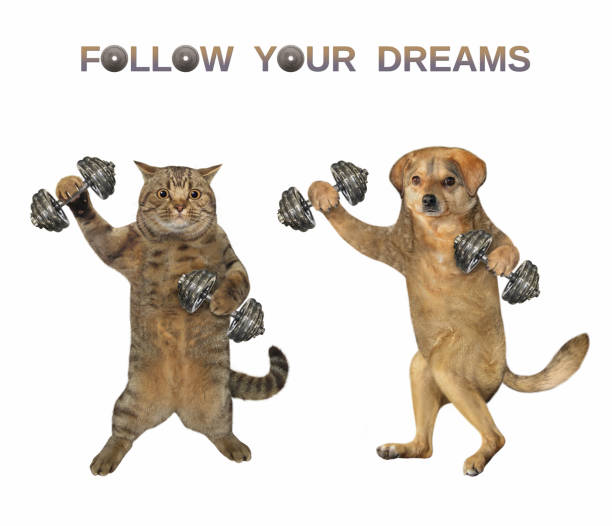 istock Cat and dog lifting dumbbells 1267156451