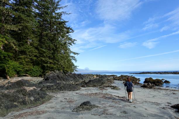 A female hiker exploring the sandy beaches of nels bight and experimental bight, surrounded by forest and the pacific ocean, along the beautiful cape scott trail on Northern Vancouver island stock photo