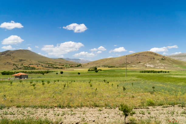 istock Crop Landscapes in Turkey 1267160531