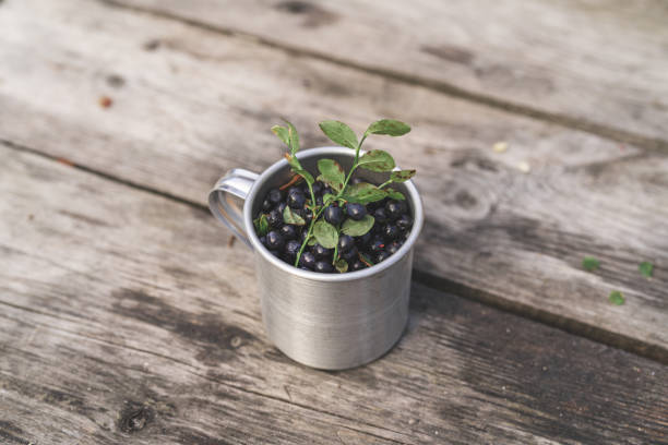 istock Steel mug filled with blueberries 1267161256