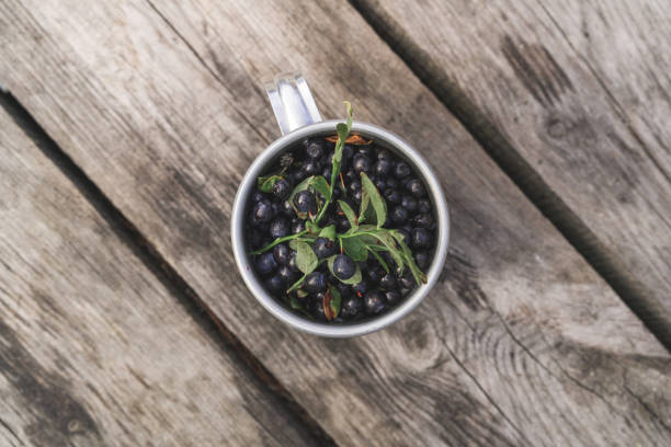 istock Steel mug filled with blueberries 1267161345
