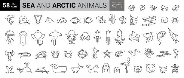 marine life i̇nce çizgi simgeleri - düzenlenebilir vuruş - denizyıldızı illüstrasyonlar stock illustrations