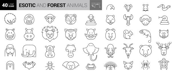 illustrations, cliparts, dessins animés et icônes de ensemble minimal d’icônes pour animaux de compagnie en ligne mince - hamster cage birdcage isolated