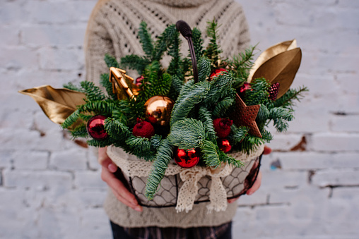 Composition with fir branches in wicker basket in the hands of woman florist in knitted sweater on background a white brick wall.