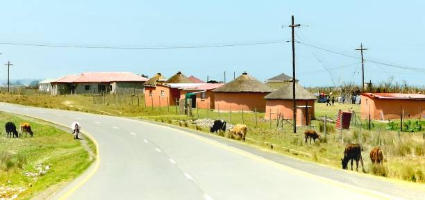 istock Road Tripping in Transkei 1267165595