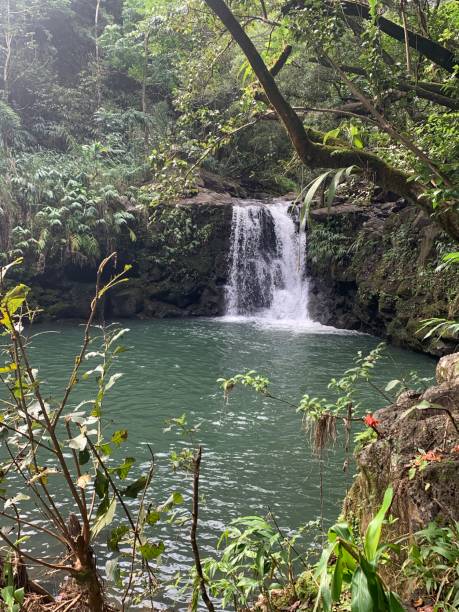istock Hidden Waterfall on the Road to Hana 1267167282