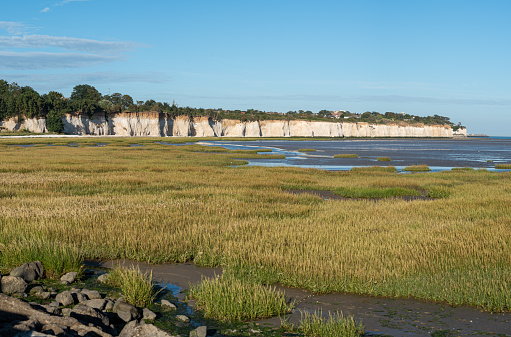 Tide out on the marsh and beautiful Kent cliffs