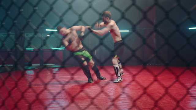 MMA fighters throwing punches in octagon. Knockout