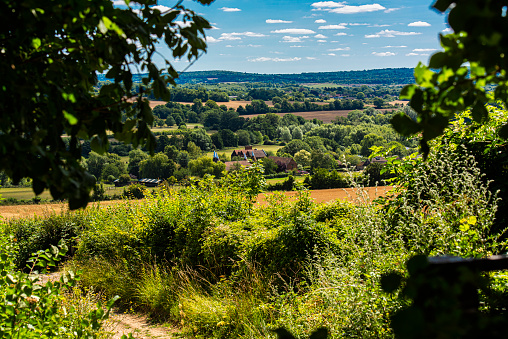 A view from the hill between the trees of the Kent landscape, fields and pastures on a beautiful summer day.