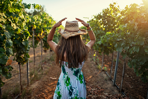 Teenage girl walking among the vine rows at Italian vineyard in Tuscany.
BMPCC4K