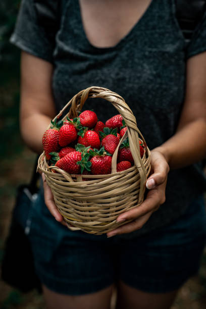 istock Girl holding basket with strawberries 1267181650